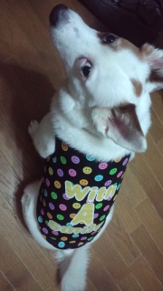 �����̂��낱