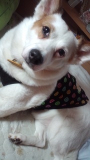 �����̂��낱