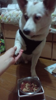 �����̂��낱