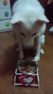 �����̃C����