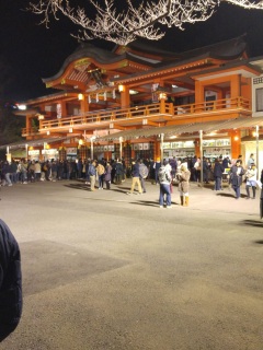 千葉神社なう