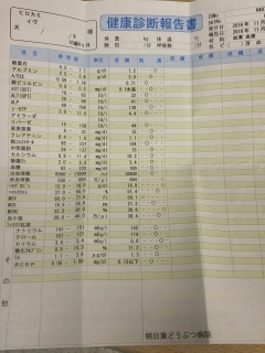イヴの健康診断きた！
